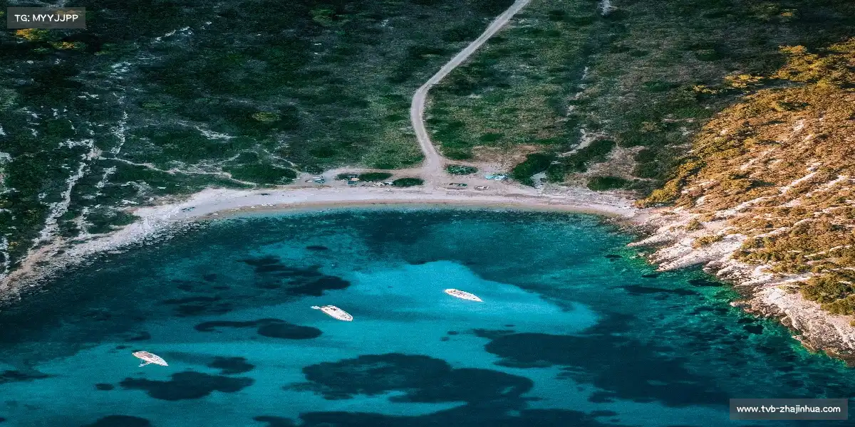 slider-1 Image